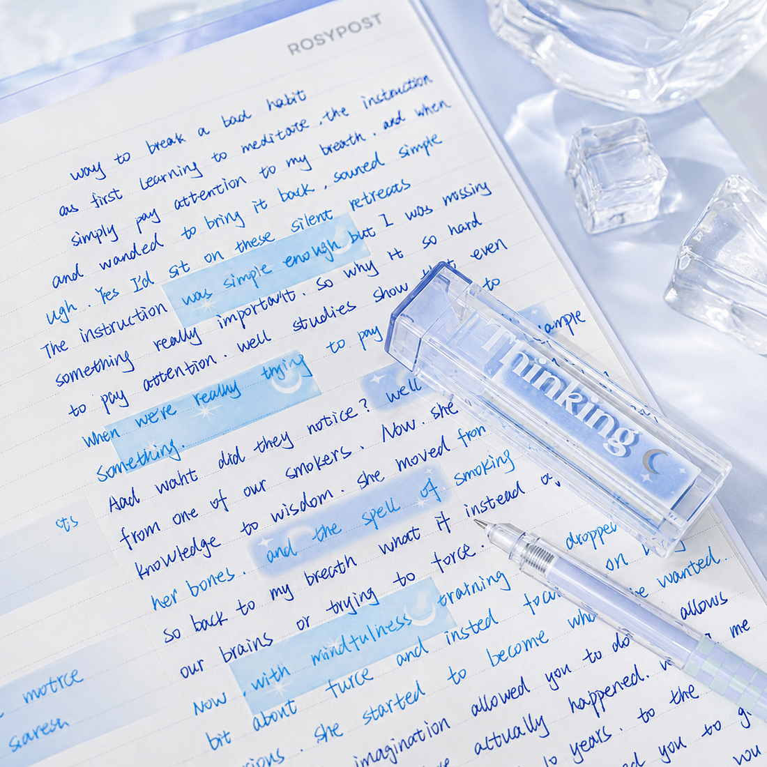 ROSYPOSY Lip Gloss Style Translucent PET Index Tabs Set