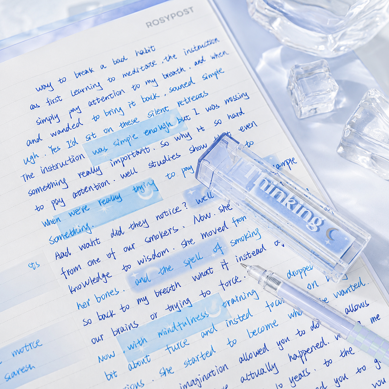 ROSYPOSY Lip Gloss Style Translucent PET Index Tabs Set